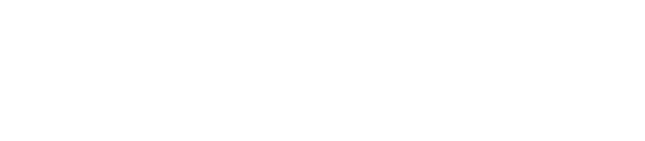 Haus Holzmann